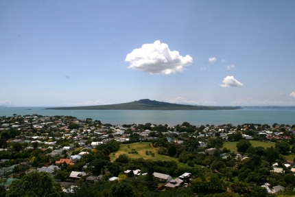 auckland (13)